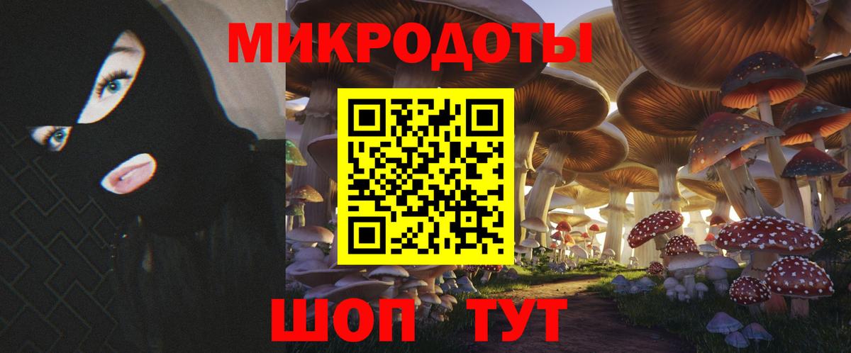 Галлюциногенные грибы Psilocybine cubensis Кимры