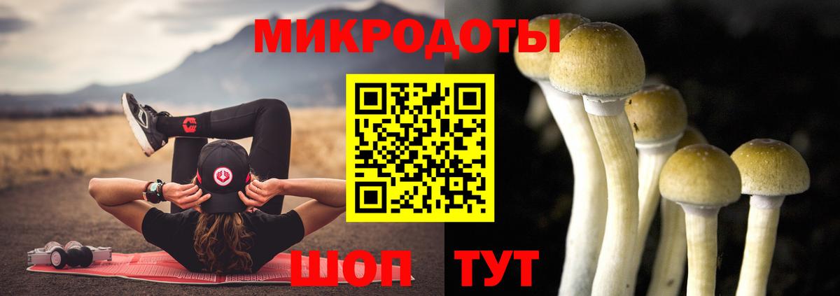 Галлюциногенные грибы прущие грибы  Вход с VPN  Кимры 